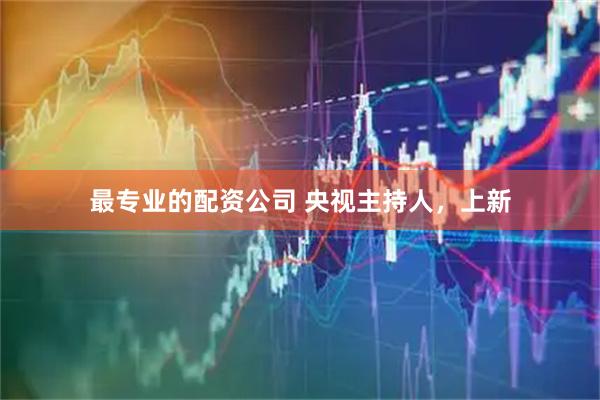 最专业的配资公司 央视主持人，上新